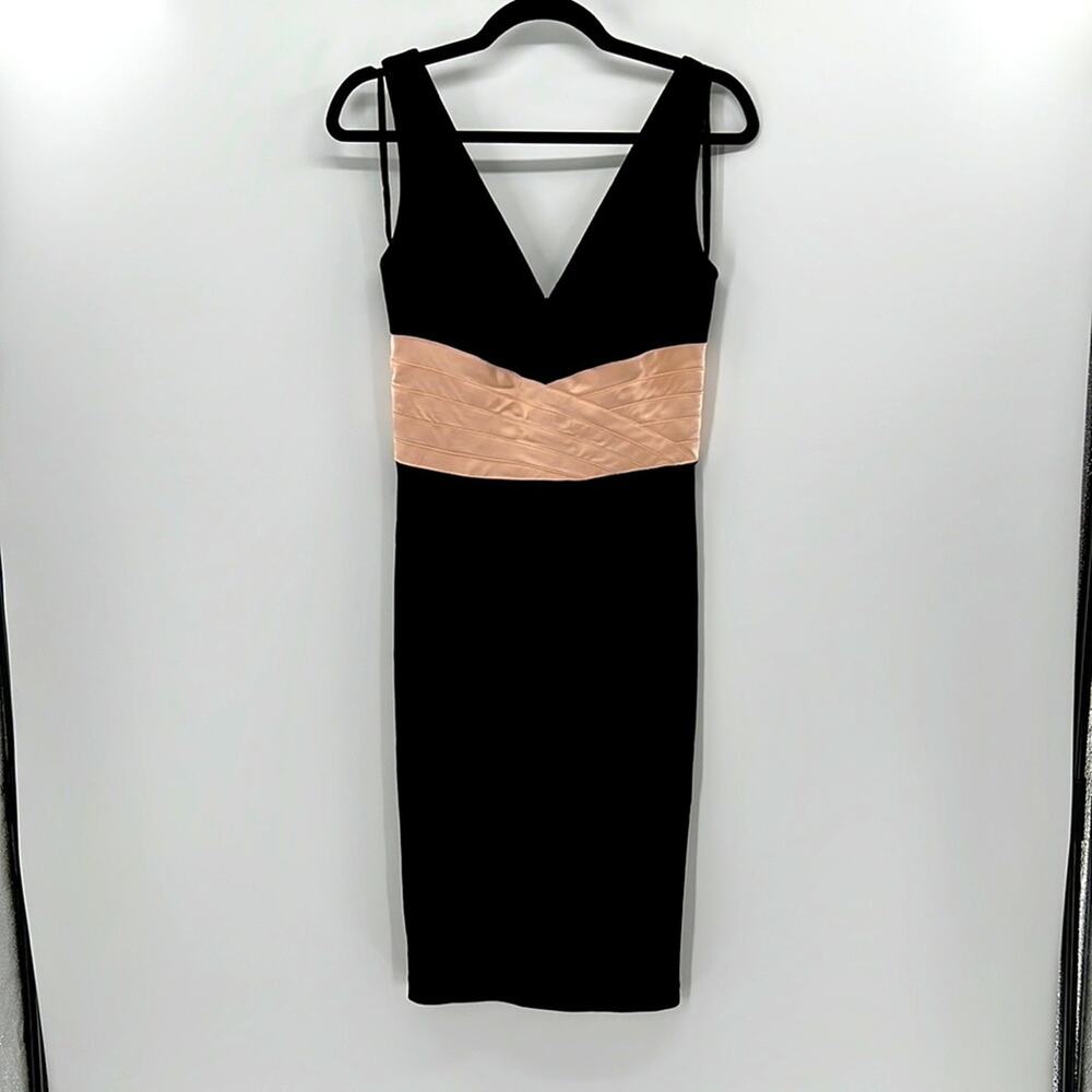 Kay Unger V-neck Silk Blend Dress - Black/Blush - 2